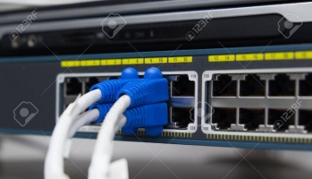 gallery/43744753-lan-utp-cable-plug-in-network-switch